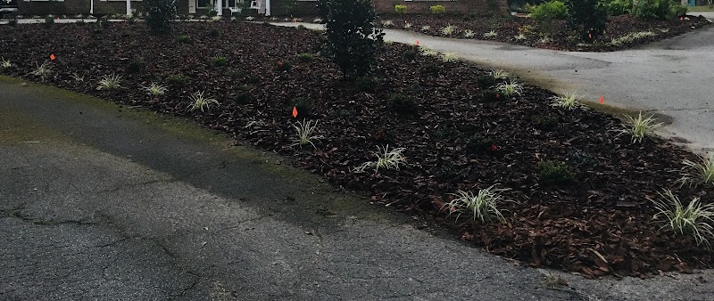 SiteOne Landscape Supply photo 4