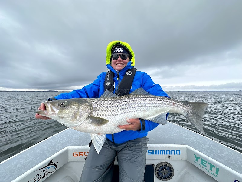 Photo of Fish With Weaver