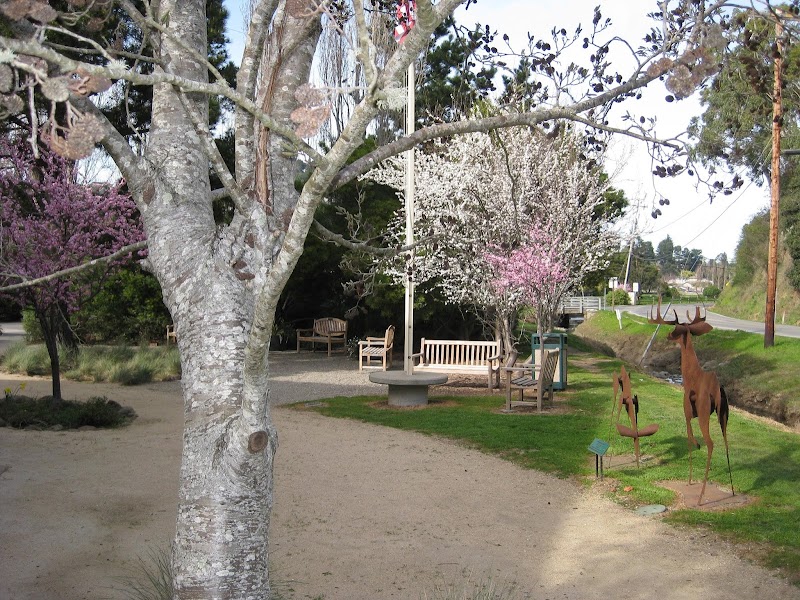 Photo of Tamalpais Community Services District