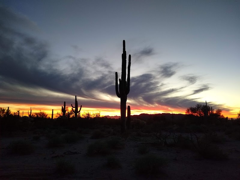 Cactus Forest Campground photo 2