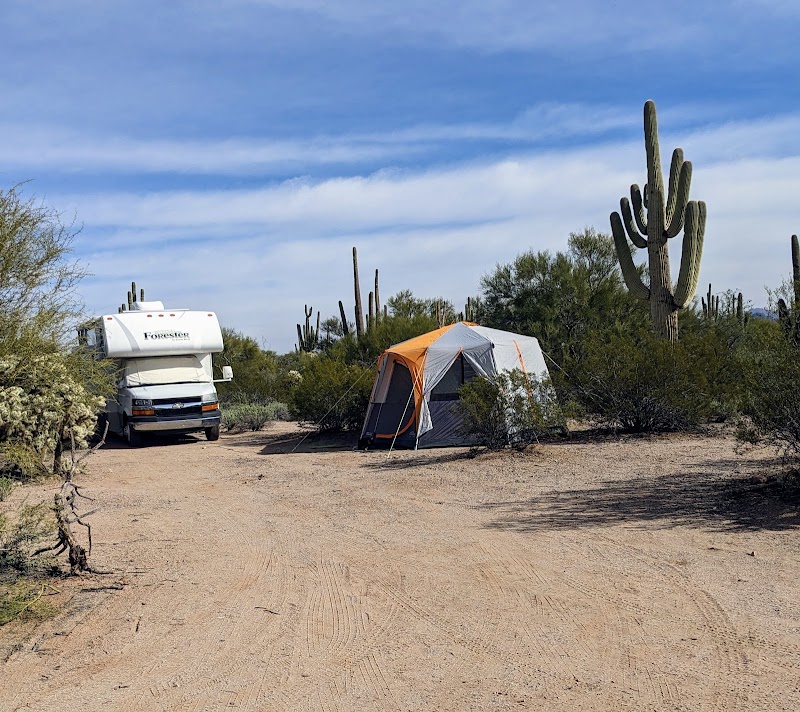 Cactus Forest Campground photo 4