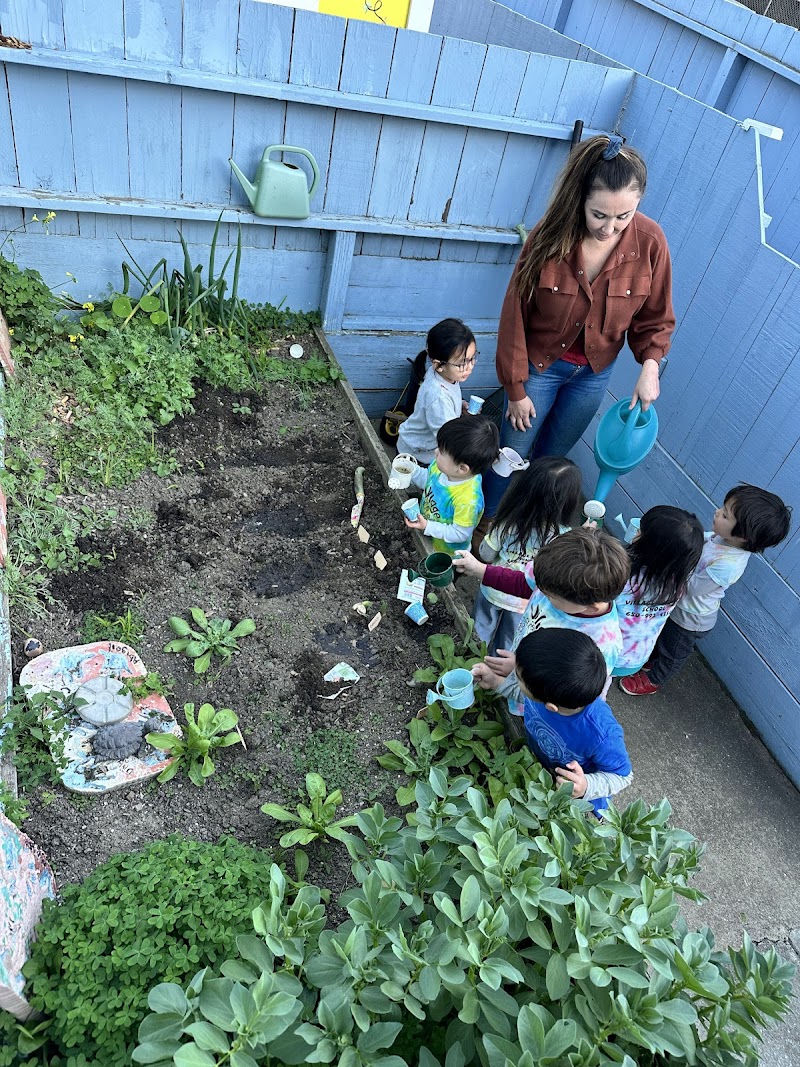 Village Nursery School photo 4