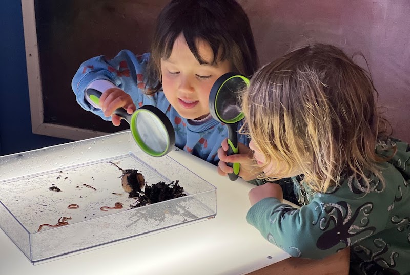 Photo of Mill Valley Nursery School