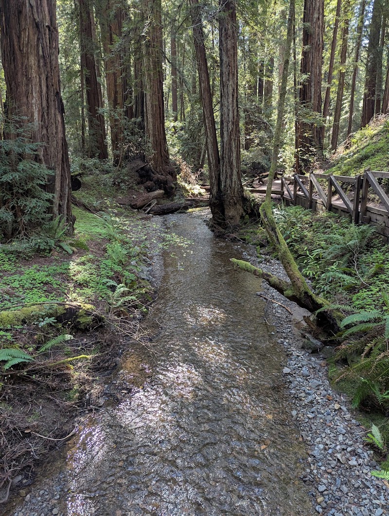 Armstrong Woods photo 5