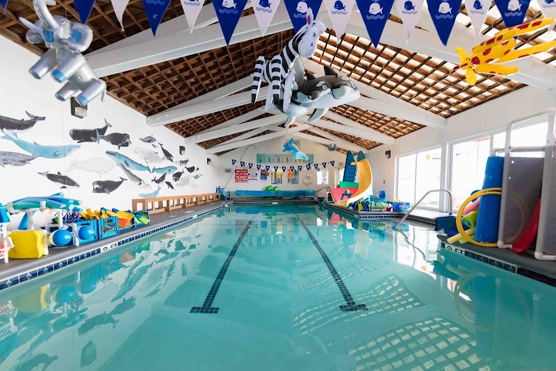La Petite Baleen Swim Schools photo 4
