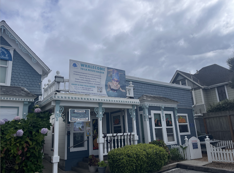 La Petite Baleen Swim Schools photo 3