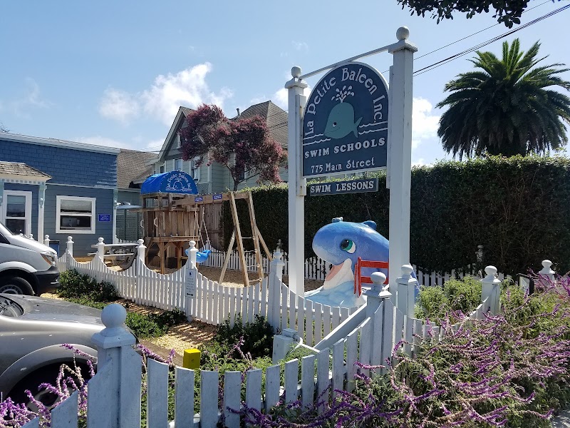 La Petite Baleen Swim Schools photo 5