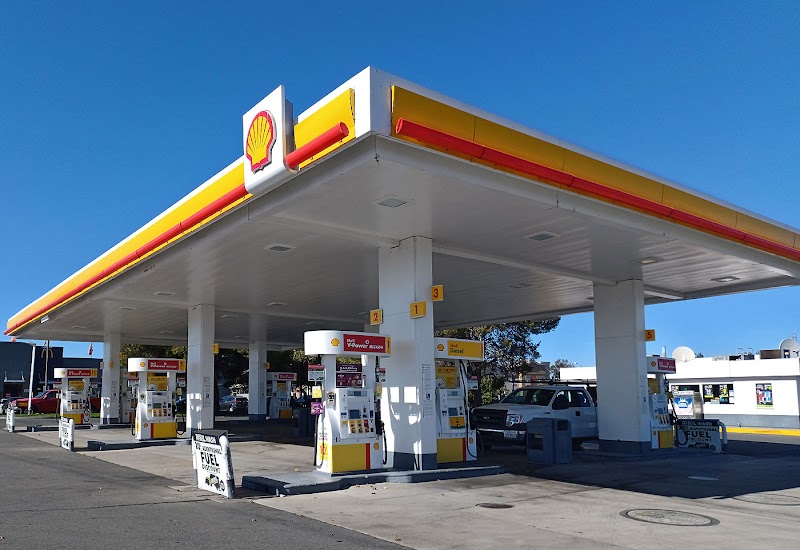 Shell photo 2