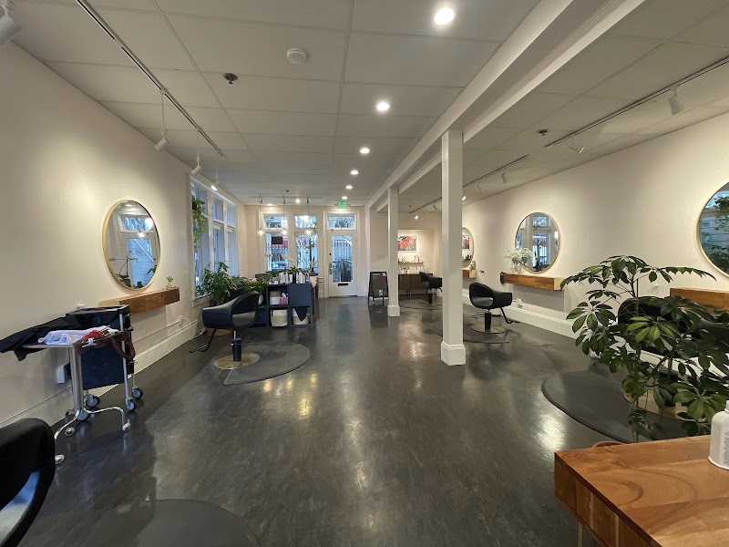 camellia salon photo 5
