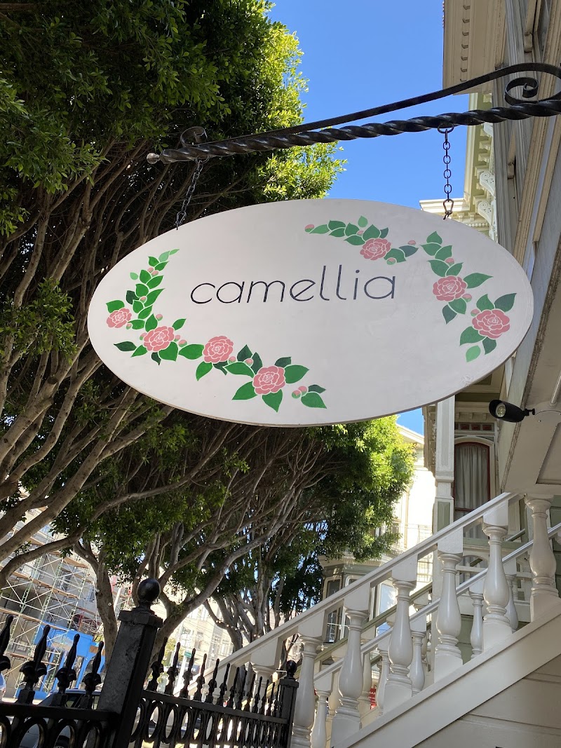 Photo of camellia salon