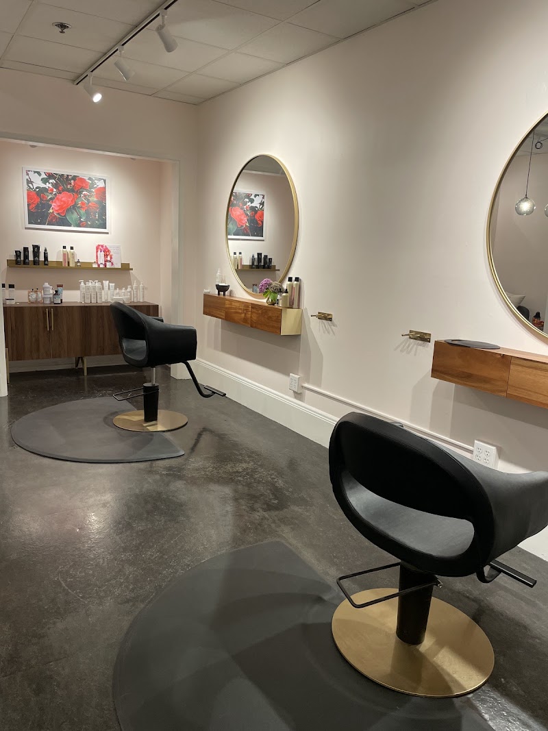 camellia salon photo 4