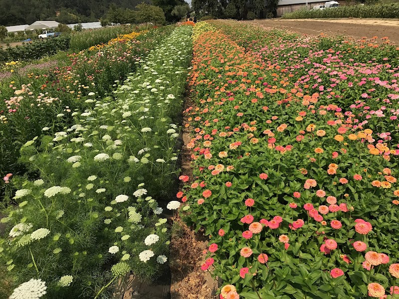 Front Porch Farm photo 2
