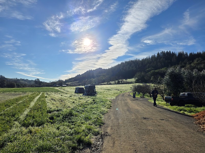 Front Porch Farm photo 5