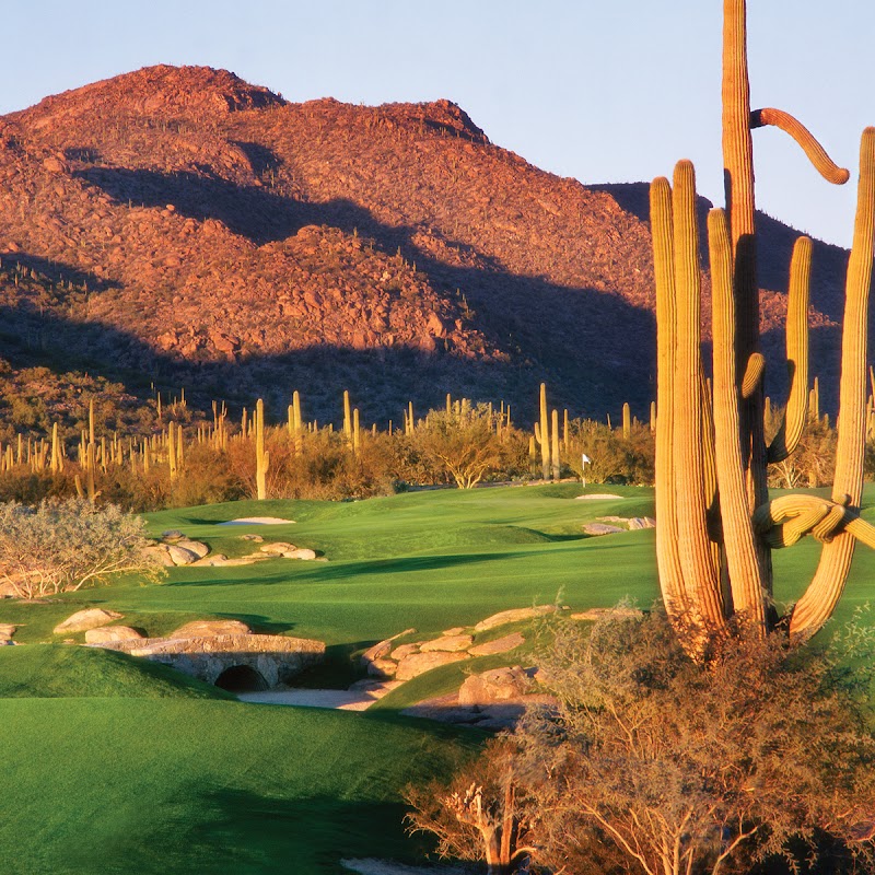 Photo of Dove Mountain