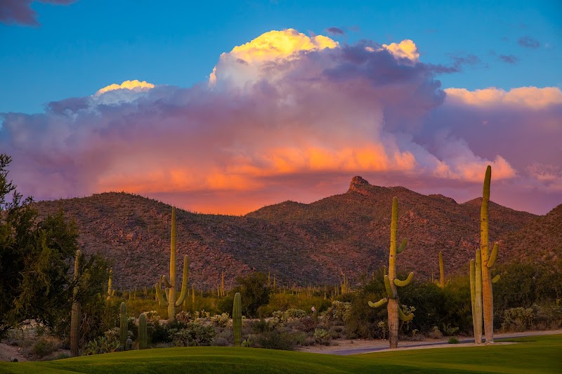 Dove Mountain photo 2