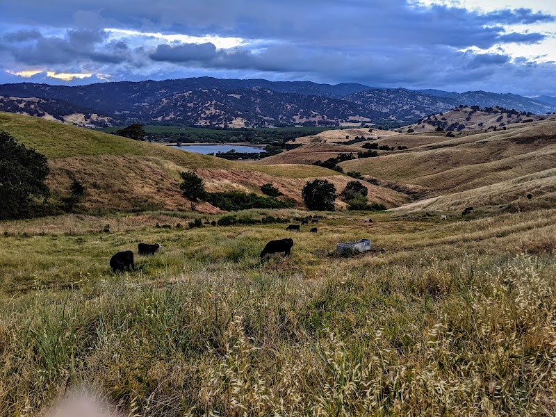 Peña Adobe Regional Park photo 3