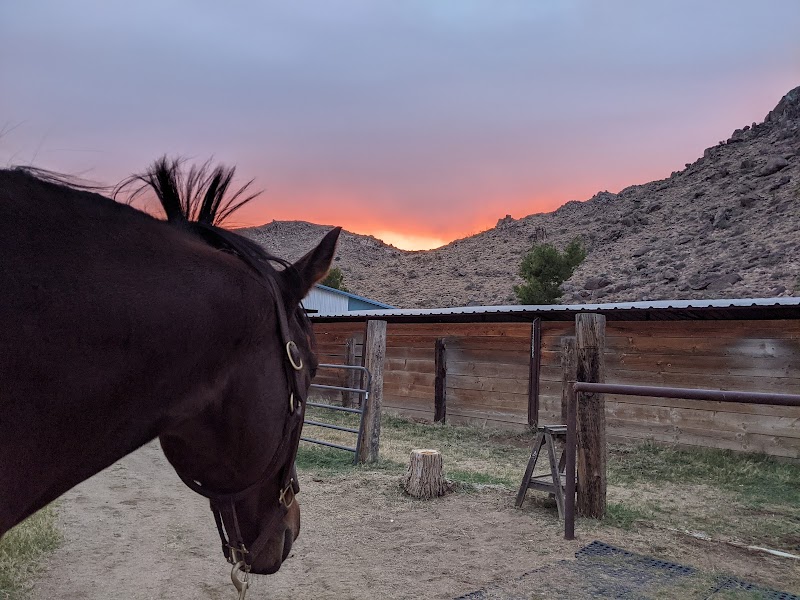 Contender Ranch photo 3