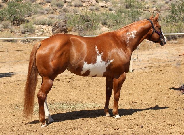 Contender Ranch photo 2