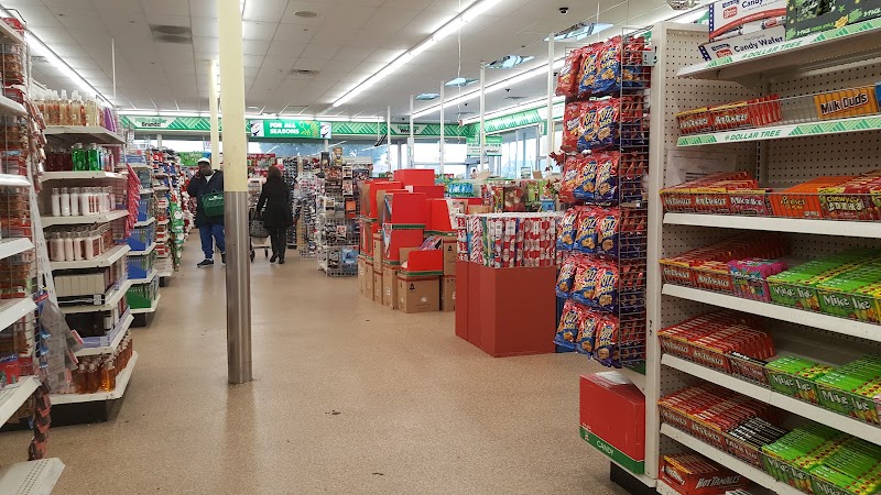 Dollar Tree photo 2