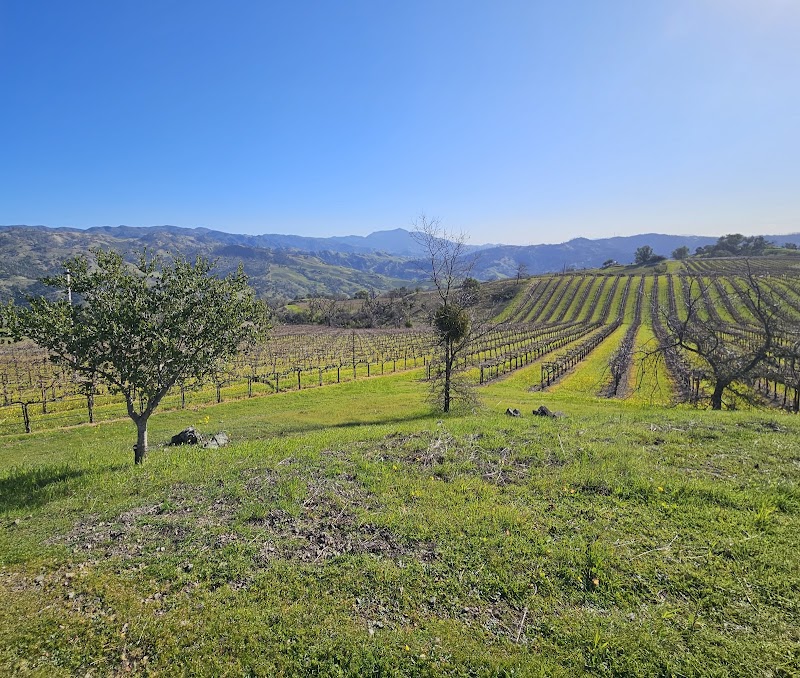Stonestreet Winery photo 2