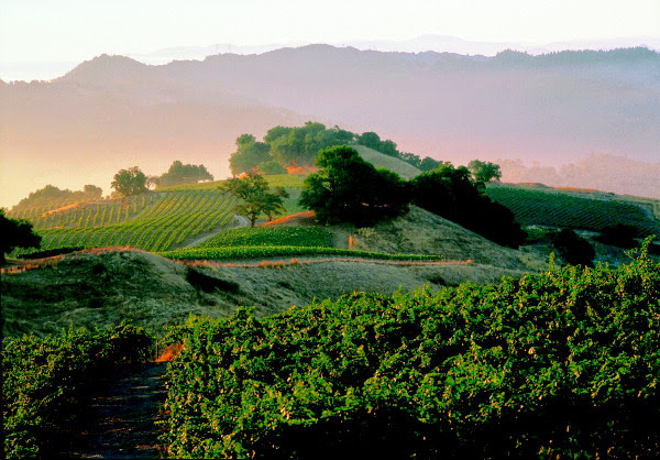Photo of Stonestreet Winery