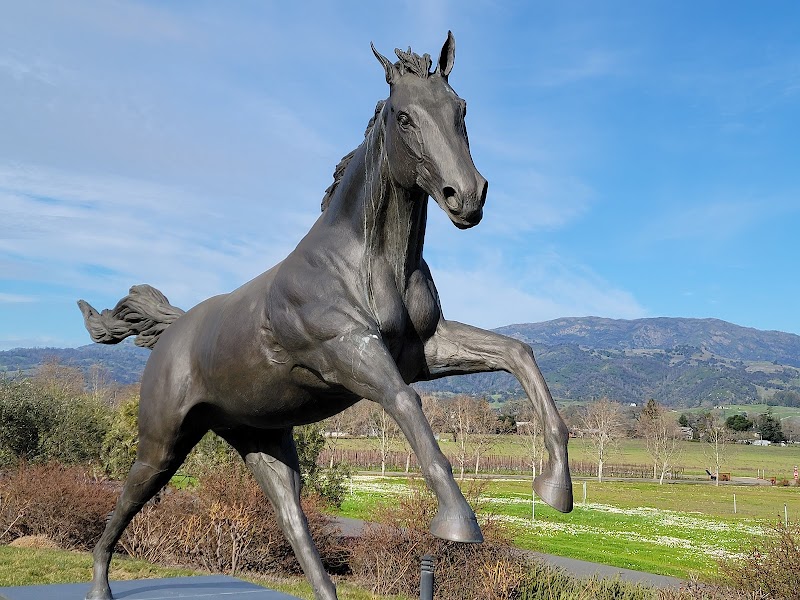 Stonestreet Winery photo 3
