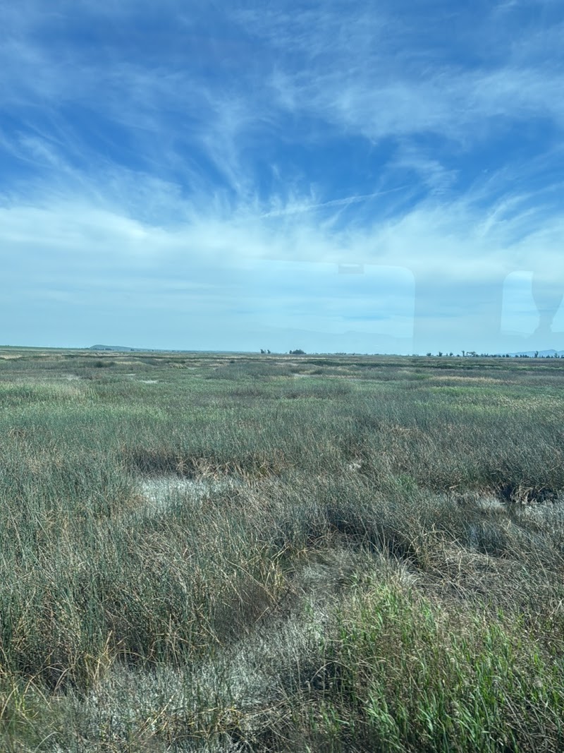 Photo of Peytonia Slough Ecological Reserve