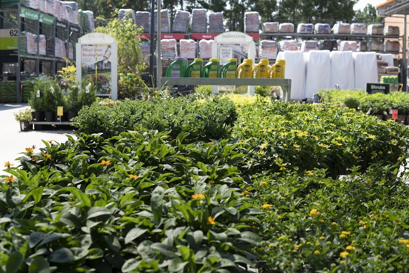 Garden Center at The Home Depot photo 3