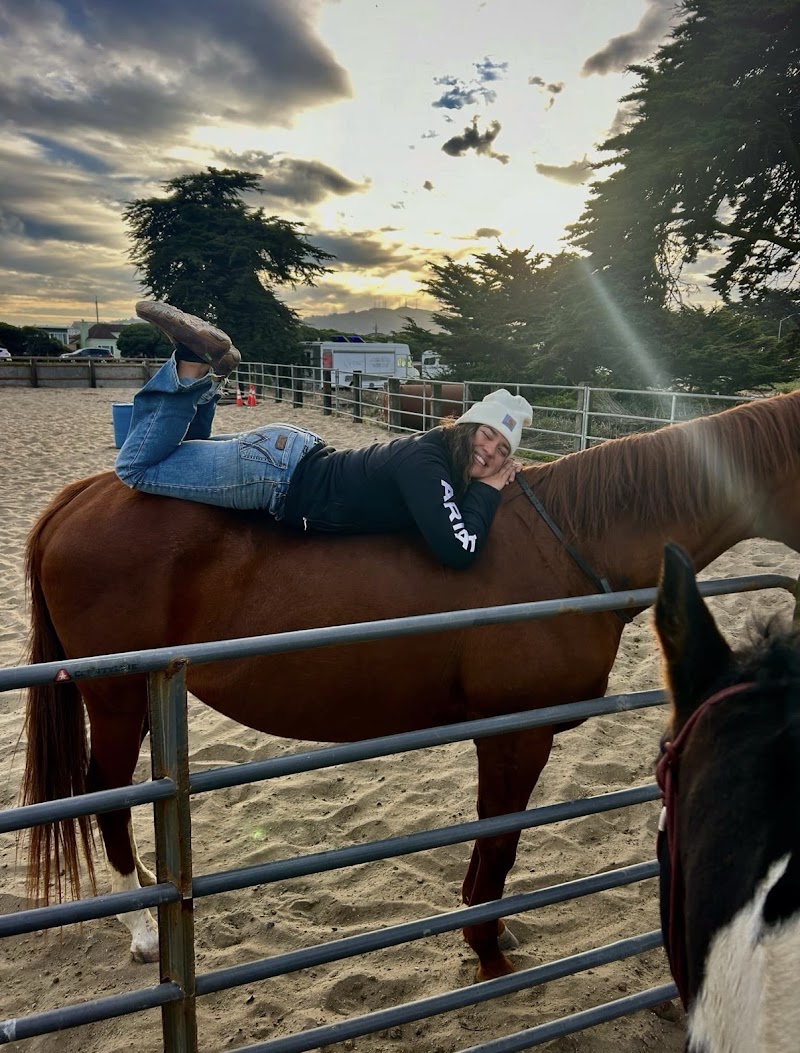 Leyden Horsemanship photo 4