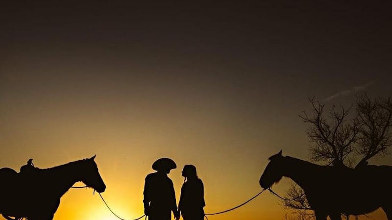 Photo of Leyden Horsemanship