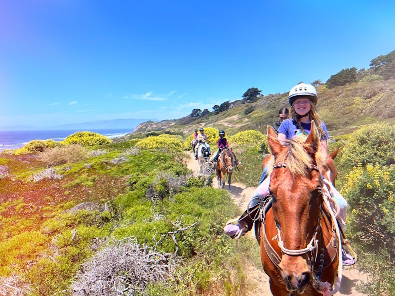 Leyden Horsemanship photo 2