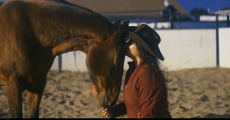 Leyden Horsemanship photo 5