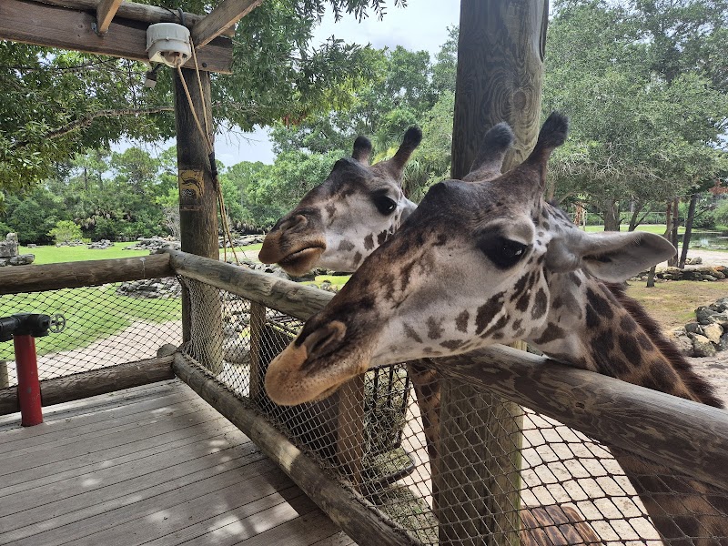 Photo of Brevard Zoo