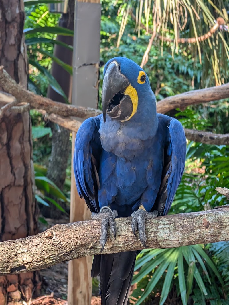 Brevard Zoo photo 3