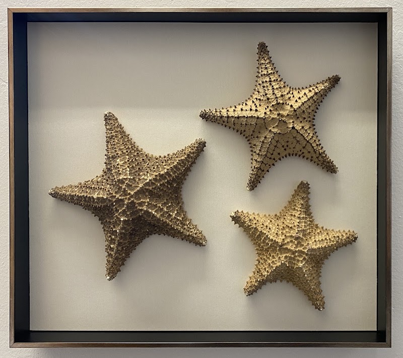 Fine Art Frameshop photo 4