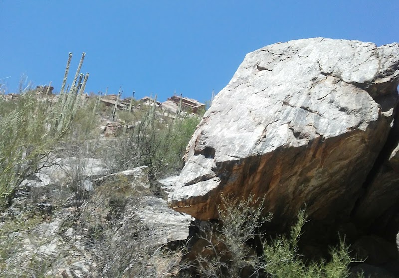 Sabino Canyon Recreation Area - Cactus Ramada 1 photo 5