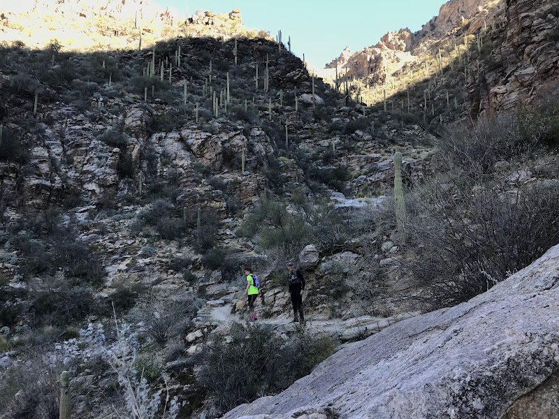 Sabino Canyon Recreation Area - Cactus Ramada 1 photo 2