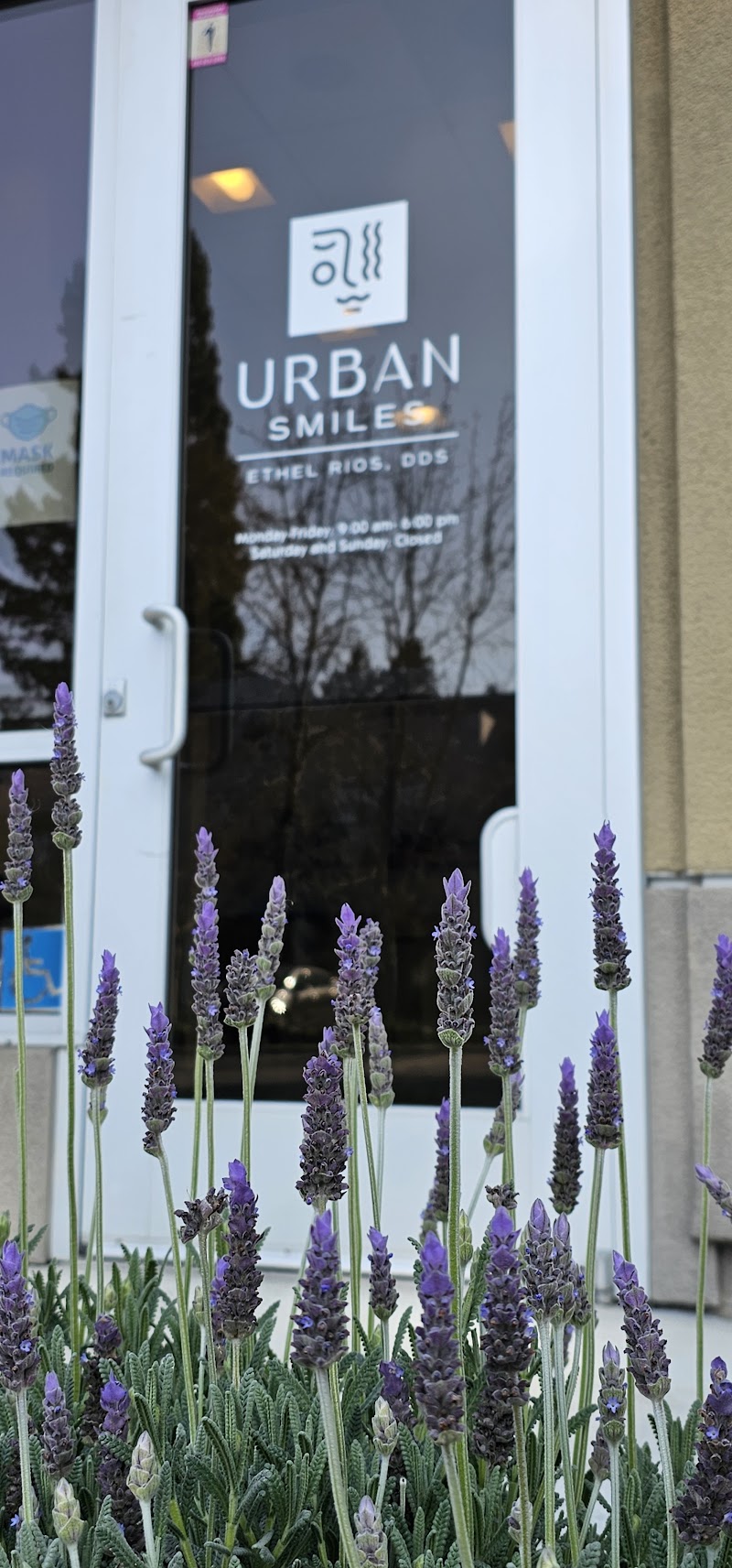 Urban Smiles Dental photo 4