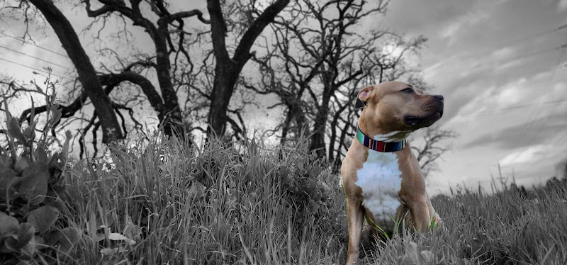 Balanced Behavior Inc. photo 5