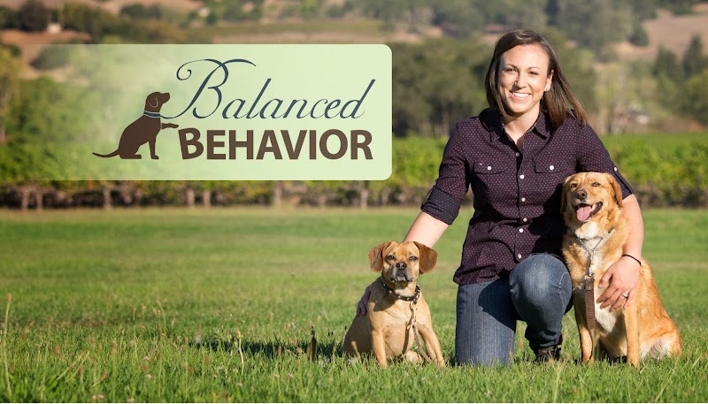 Photo of Balanced Behavior Inc.