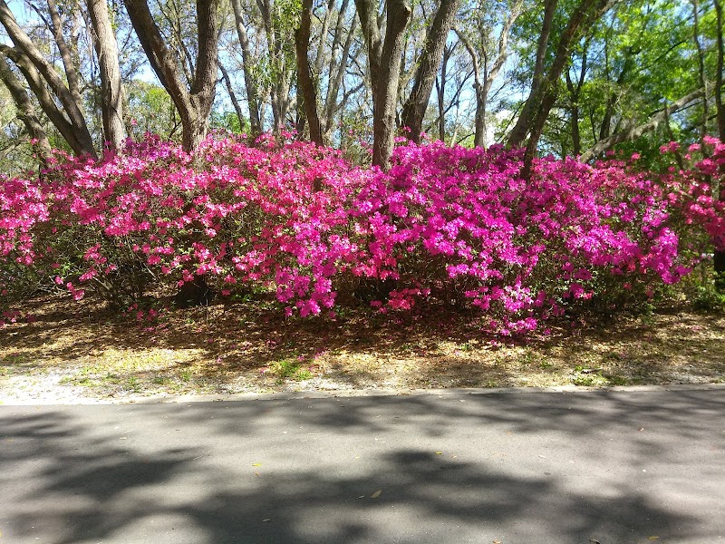 First Christian Church-Sun City photo 4