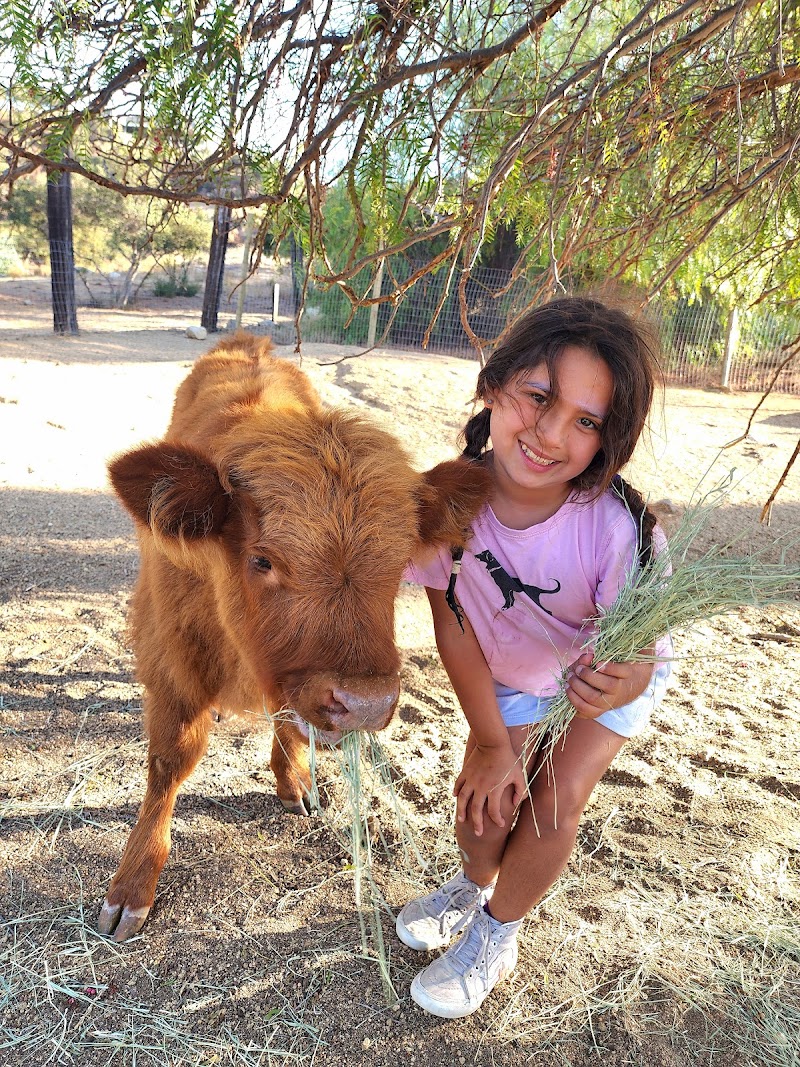 Howe Ranch photo 3
