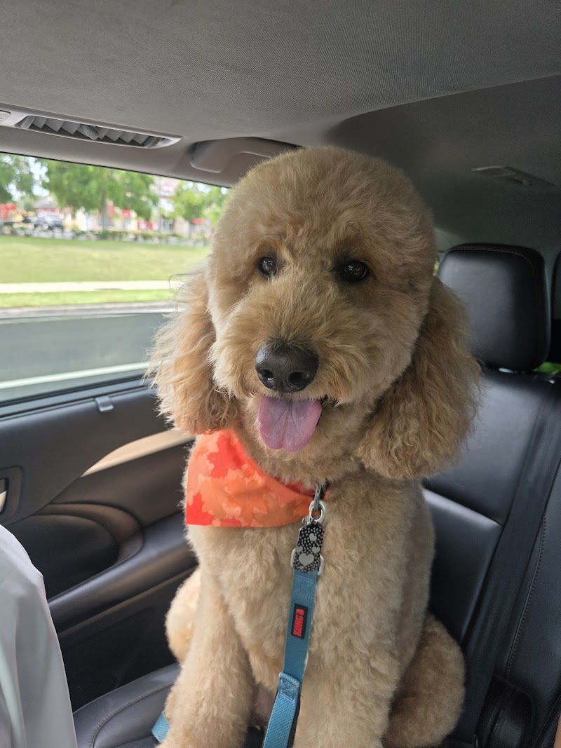 Woof Gang Bakery & Grooming Lakeland