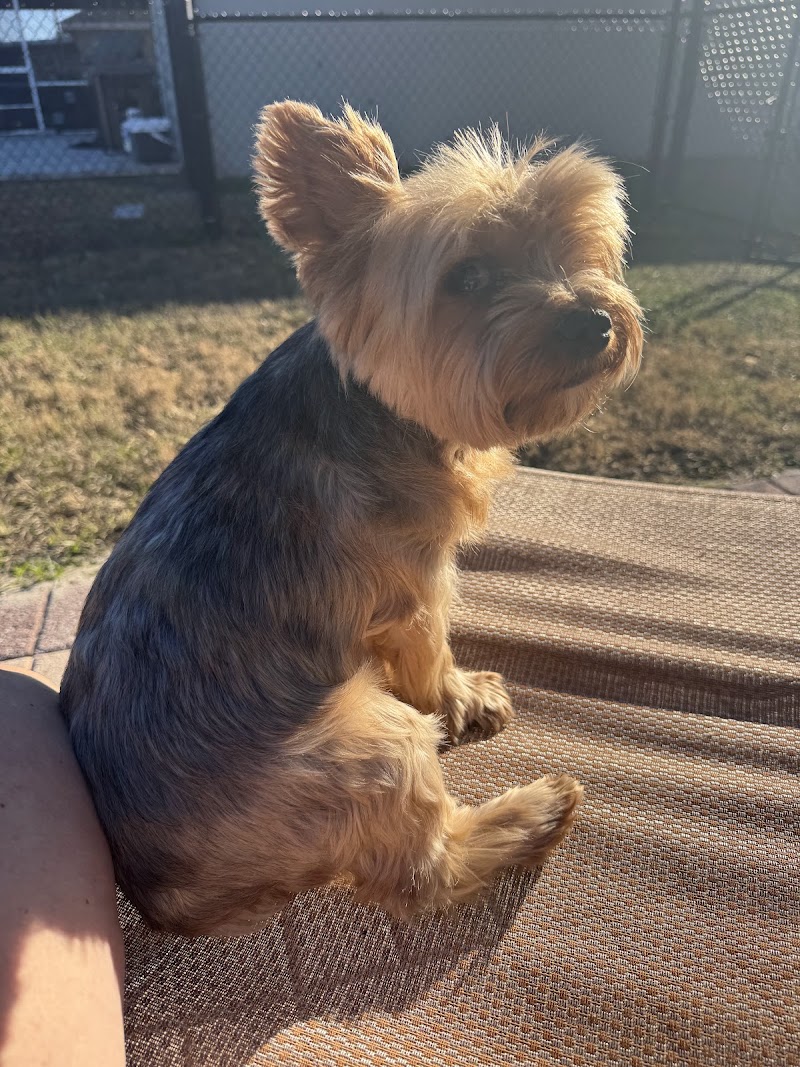 Woof Gang Bakery & Grooming Lakeland photo 5