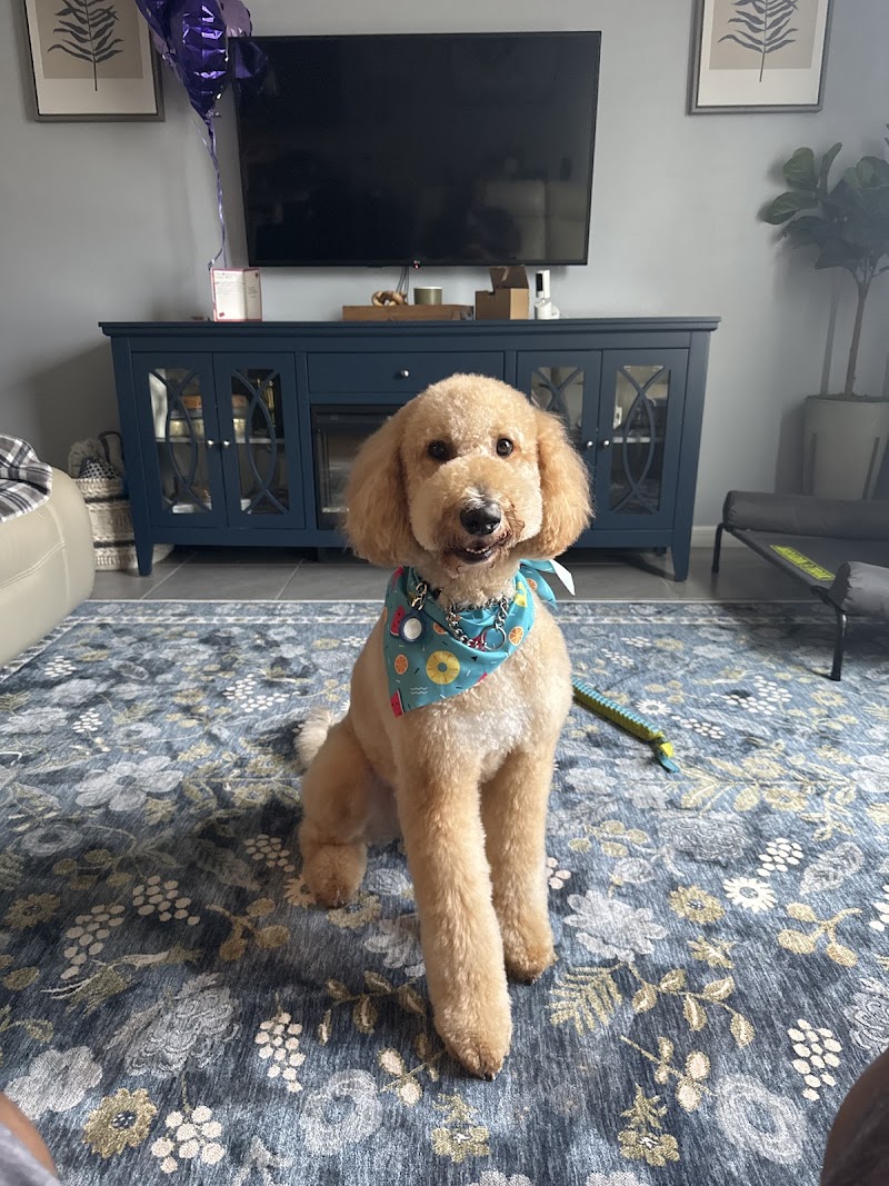 Woof Gang Bakery & Grooming Lakeland photo 3