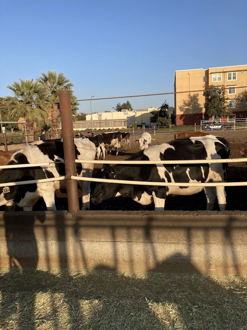 Dairy Outdoor Recreation Complex photo 2
