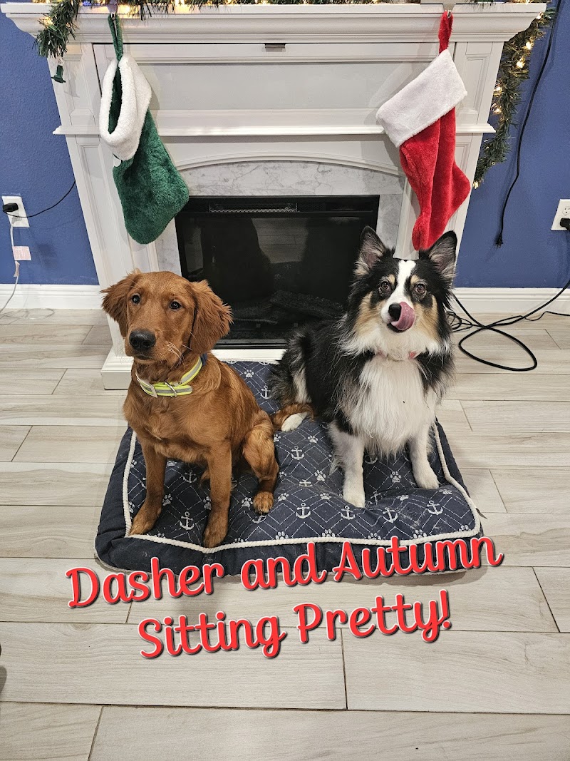 Photo of Autumn's Bed & Biscuit Pet Sitting Services