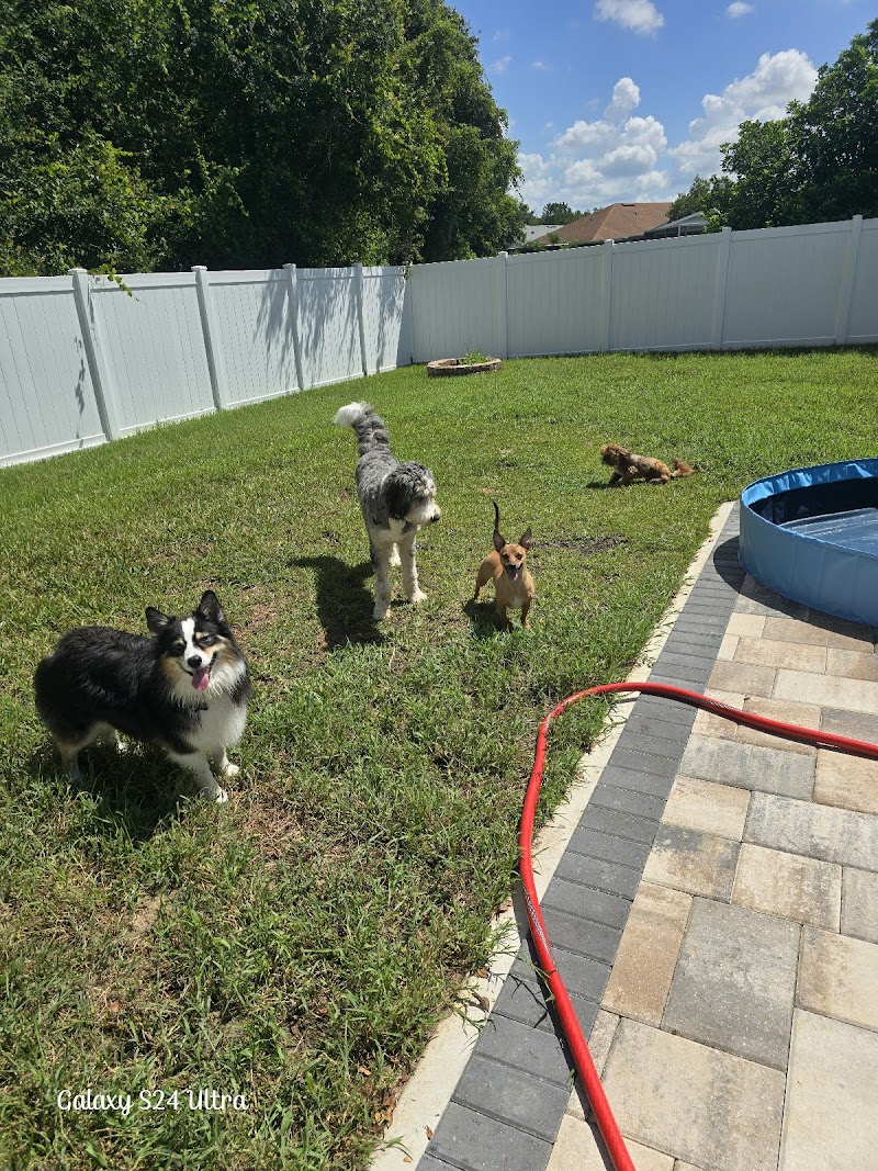 Autumn's Bed & Biscuit Pet Sitting Services photo 3