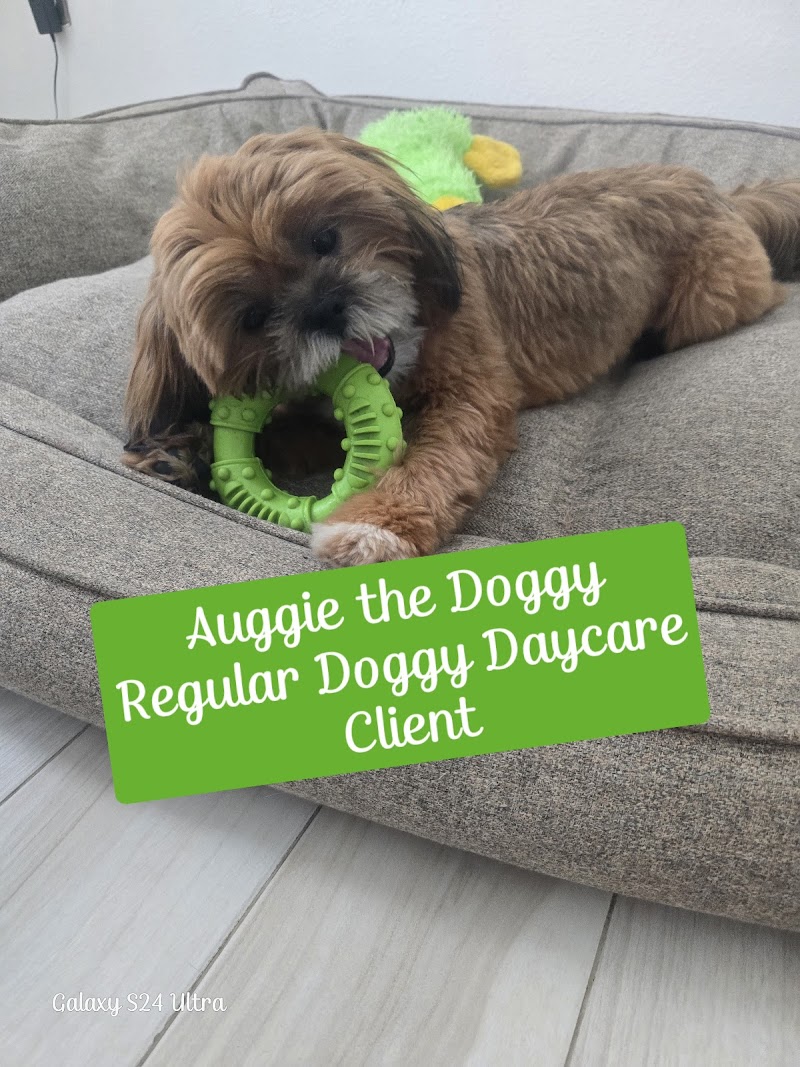 Autumn's Bed & Biscuit Pet Sitting Services photo 4