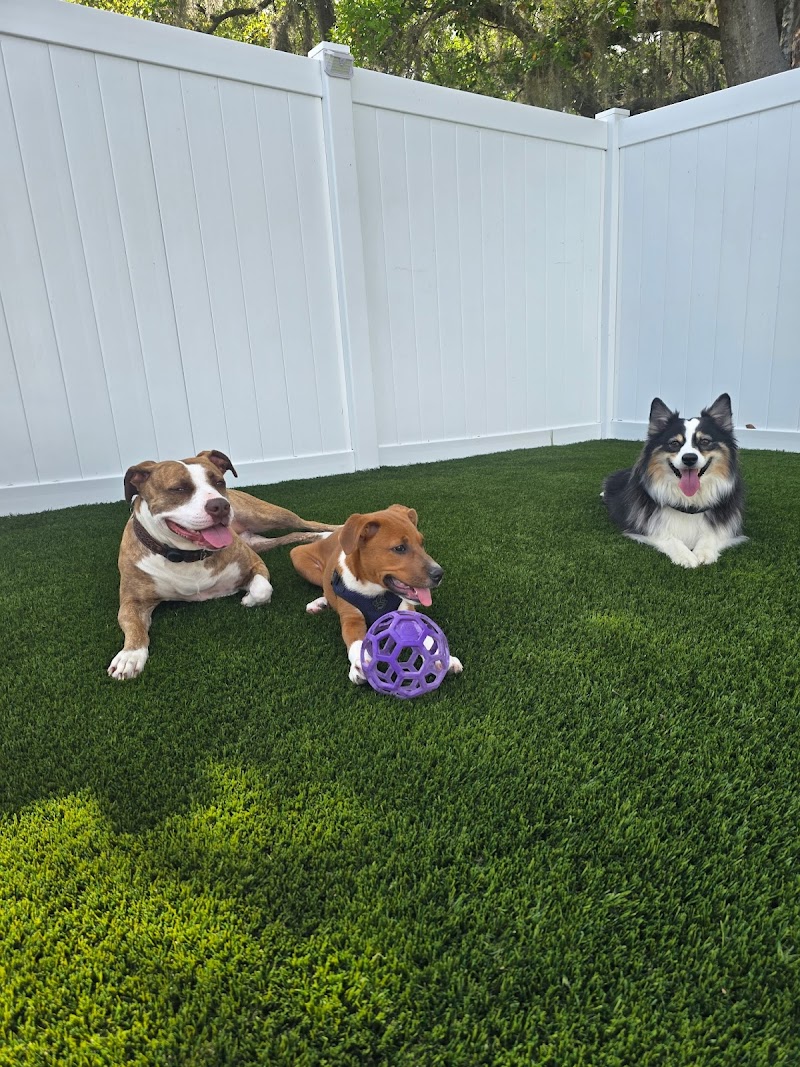 Autumn's Bed & Biscuit Pet Sitting Services photo 2